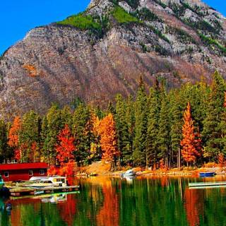 Fall colors reflection wallpaper