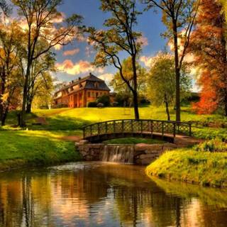 Fall colors reflection wallpaper