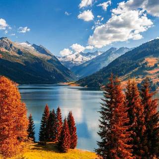 Fall colors reflection wallpaper