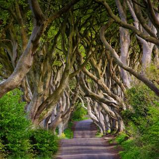 Belfast Northern Ireland wallpaper