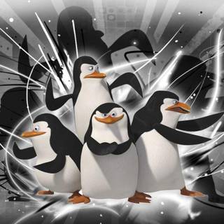 Cartoon penguin wallpaper