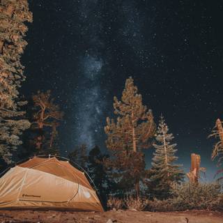 Campsite wallpaper