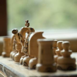 Intellectual wallpaper