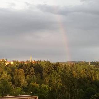 Chasing rainbows wallpaper