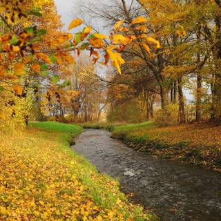 Autumn river wallpaper