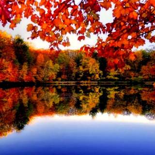 Autumn river wallpaper