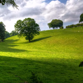 Divine light wallpaper