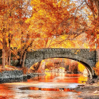 Autumn bridge and trees wallpaper