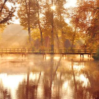 Autumn bridge and trees wallpaper