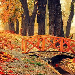 Autumn bridge and trees wallpaper