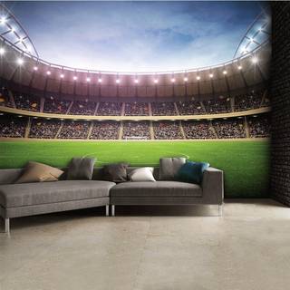 Soccer stadium mural wallpaper