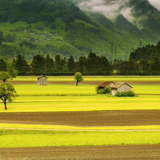 Countryside grass fields scenery wallpaper