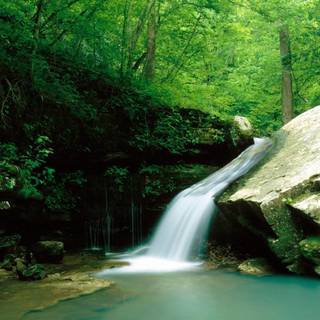 Indian nature wallpaper