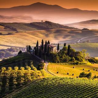 Tuscan morning wallpaper