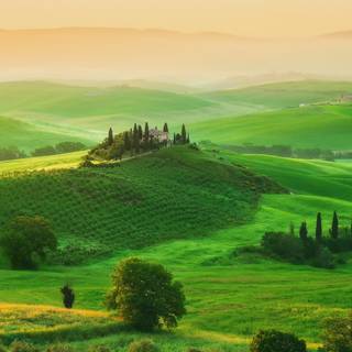 Tuscan morning wallpaper