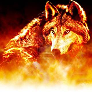 Ice wolves wallpaper