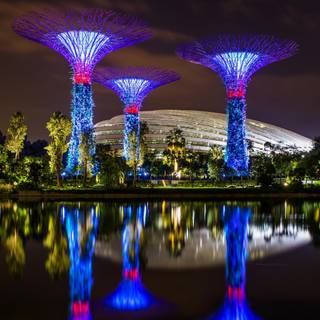 Singapore reflection wallpaper