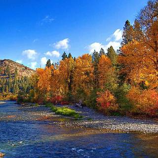 Autumn aesthetic wallpaper