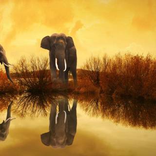 Park in Thailand wallpaper