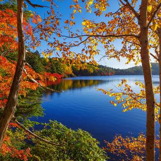 Autumn lake wallpaper