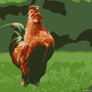 Poultry wallpaper