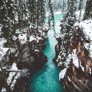 Jasper National Park wallpaper