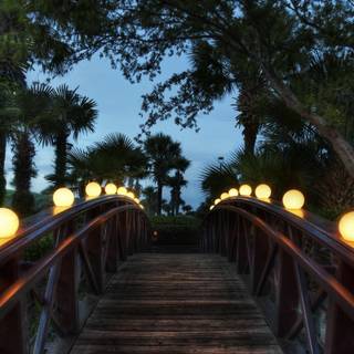 Wooden bridge wallpaper