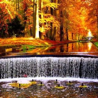 Autumn waterfalls wallpaper