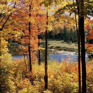 Landscape Quebec Canada wallpaper