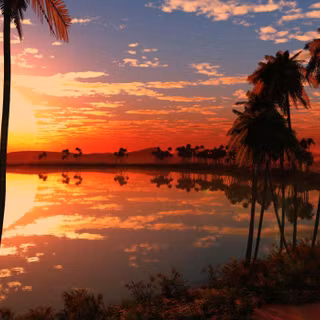 Amazing red sunset wallpaper