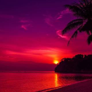 Amazing red sunset wallpaper