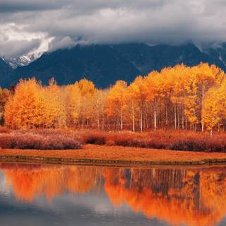Autumn landscape river wallpaper