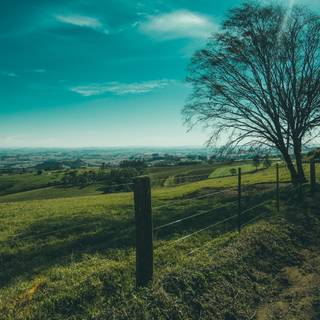 Countryside road, trees and sunshine wallpaper