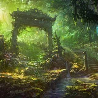 Old trees swamp wallpaper