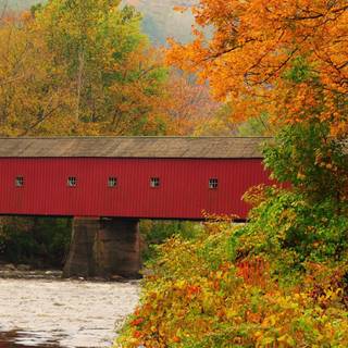 Autumn New England wallpaper