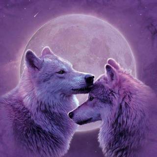 Love wolf wallpaper