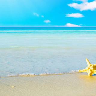 The Perfect Summer wallpaper