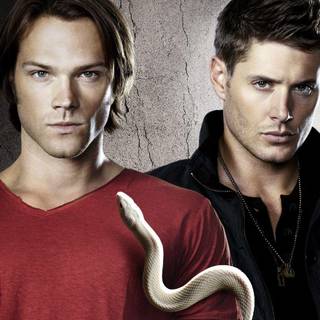 Supernatural Sam and Dean wallpaper