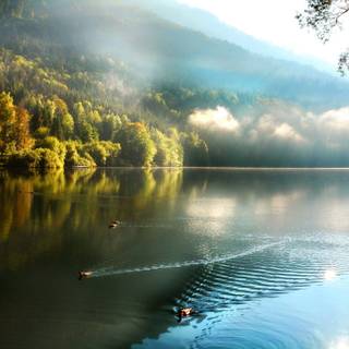 Autumn lake sunset wallpaper