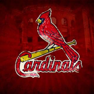 Cardinal wallpaper