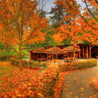 Autumn colors wallpaper