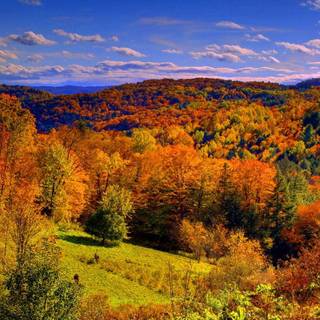 Autumn colors wallpaper