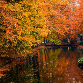 Autumn boats wallpaper