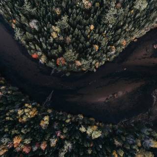 Autumn aerial wallpaper