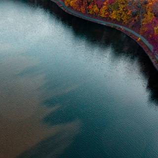 Autumn aerial wallpaper