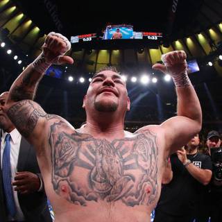 Andy Ruiz Jr. wallpaper