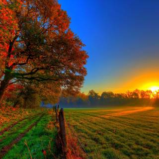 Travel road forest autumn wallpaper