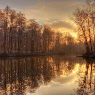 Golden autumn reflections wallpaper