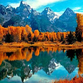 Golden autumn reflections wallpaper