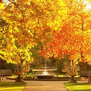 Desktop autumn wallpaper